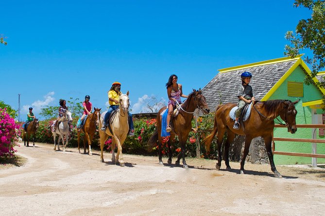 Sand n Saddle Horseback Ride & Swim Tour from Runaway Bay - The horse swim at the private beach