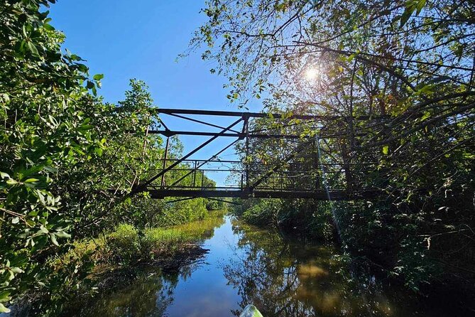 Scenic & Historical Nature Boat Safari Up the Negril River - Guides who shape the experience