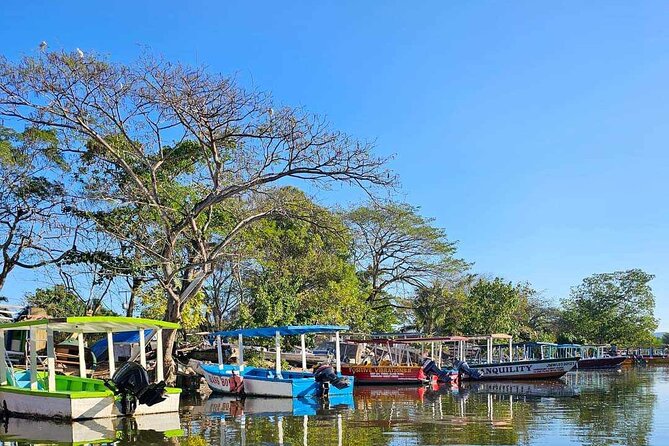 Scenic & Historical Nature Boat Safari Up the Negril River - A peaceful cruise, not a high-speed thrill ride