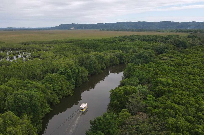 Scenic & Historical Nature Boat Safari Up the Negril River - How the $65 price measures up