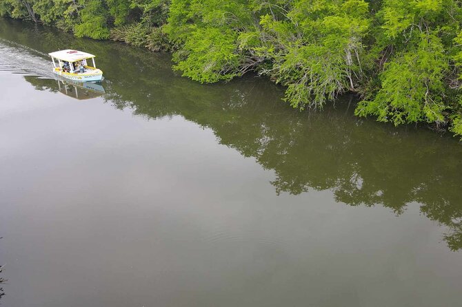 Scenic & Historical Nature Boat Safari Up the Negril River - Who should book this Negril river safari