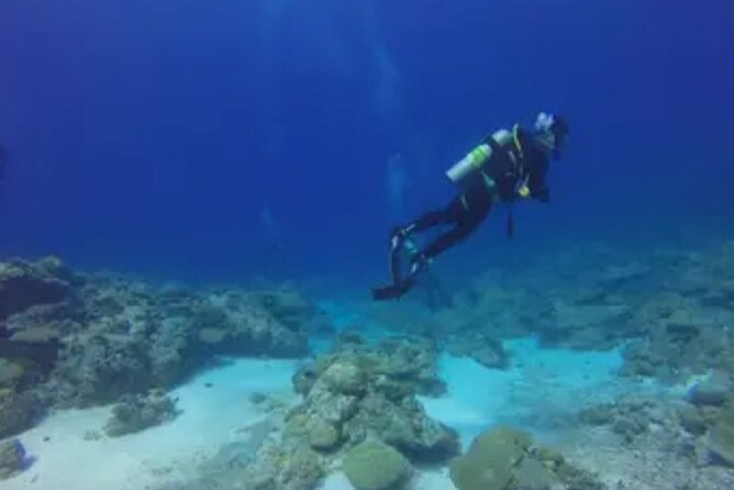 Scuba Diving and shopping on the Hipstrip. - Pool practice builds comfort first