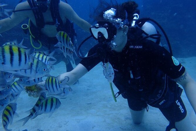 Scuba Diving and shopping on the Hipstrip. - What $40 gets you