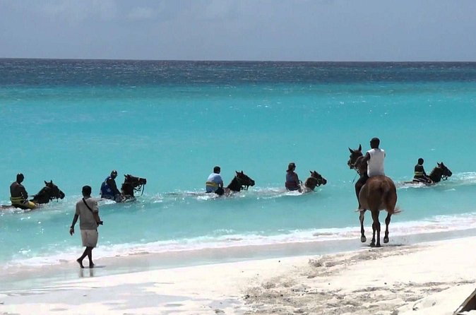 Secret Falls, Blue Hole, and Horseback Riding from Ocho Rios - What the $160.39 Price Gets You