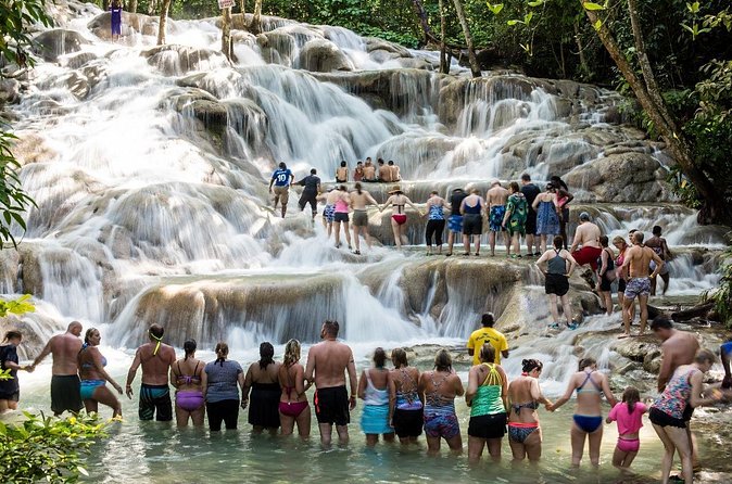 Shared Dunn's River Falls Snorkel Cruise with Music, Open Bar from Runaway Bay - Group size, timing, and the mood on board
