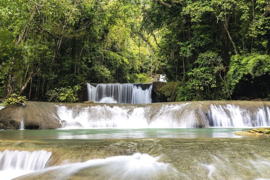 Shared or Private FD Appleton Rum, YS Falls & Pelican Bar - Who will get the most from this excursion?