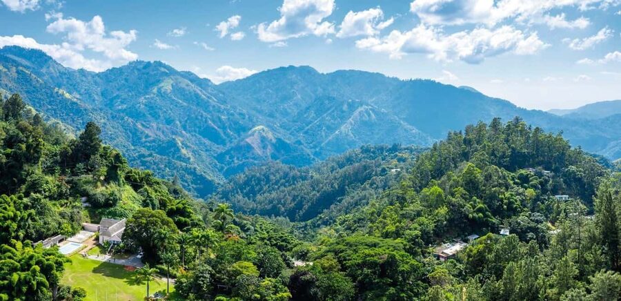 Shared/Private Full Day Blue Mountains Tour -Top Attractions - Craighton Estate and the story behind Blue Mountain coffee
