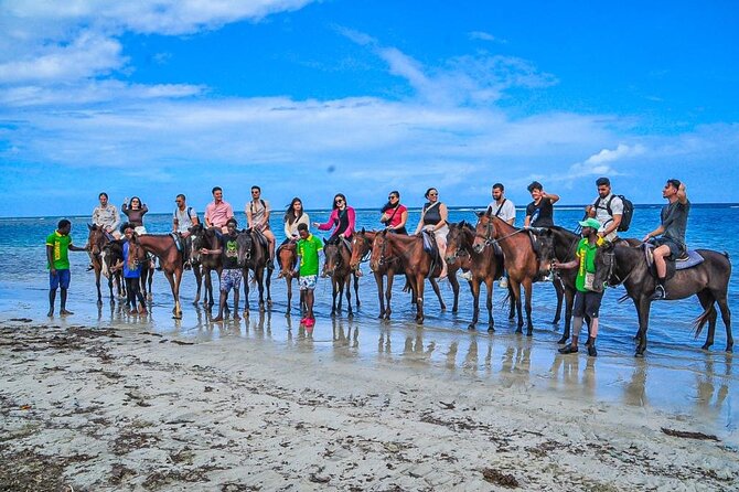 Shared Tour in Ocho Rios with Horseback Riding and Swimming - Meeting the Horses Before the Trail