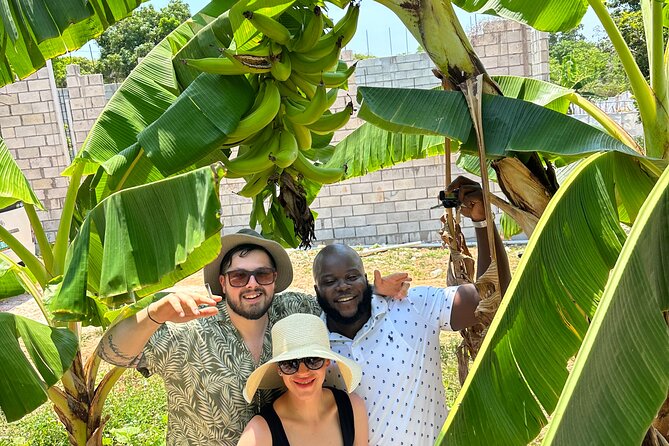 Sightseeing and Shopping Tour in Montego bay - Jamaican Lunch at a Pork Pit, Scotchies, or Pier One