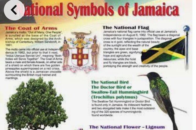Sightseeing Tour in Ocho Rios - What this Ocho Rios tour is really designed to do