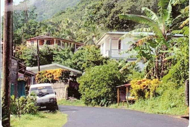 Sightseeing Tour in Ocho Rios - Blue Hole: rope jumps and a wet start