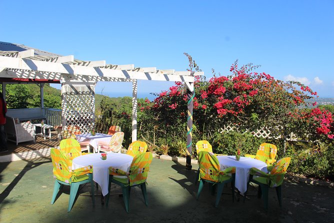 Skip the Line: Ahhh Ras Natango Gallery and Garden Admission Tickets - A hillside garden built by one Jamaican family