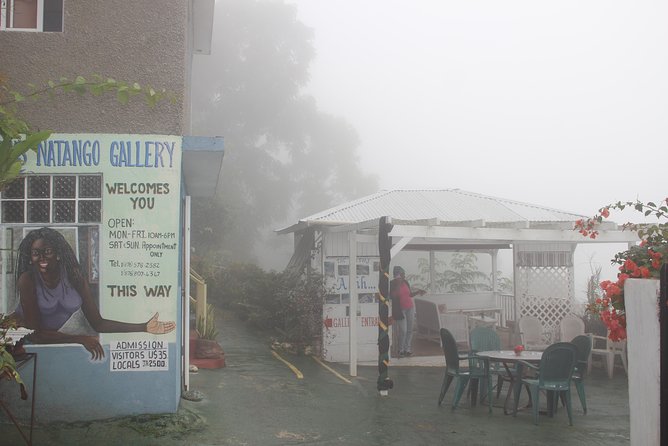 Skip the Line: Ahhh Ras Natango Gallery and Garden Admission Tickets - Timing, cruise visits, and family considerations