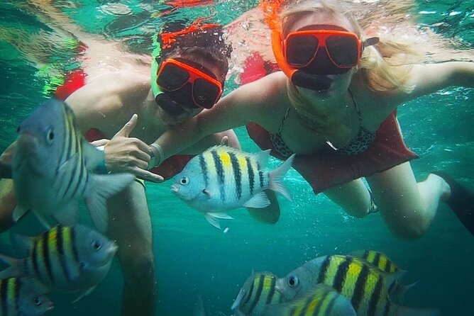 Snorkeling and Shopping in Montego Bay with Hotel pickup - Complimentary filming adds a useful souvenir