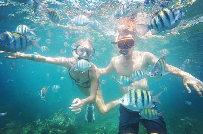 Snorkeling and Shopping in Montego Bay with Hotel pickup - From the water to Montego Bay’s Hip Strip