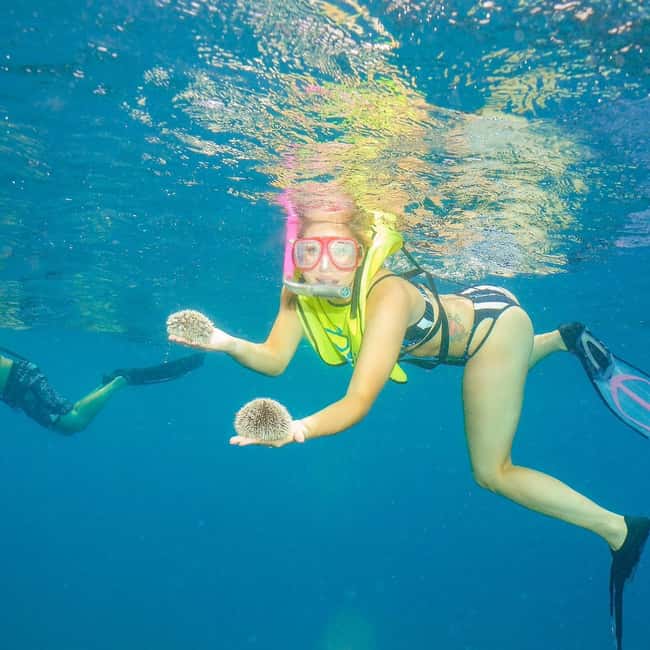 Snorkeling in Montego Bay with Transportation - What this Montego Bay outing really offers