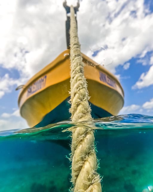 Snorkeling in Montego Bay with Transportation - Coral reefs, fish, and possible sea turtles