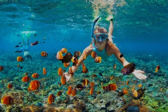 Snorkeling with Margaritaville and shops on Hipstrip activity - A reef outing that keeps the day uncomplicated