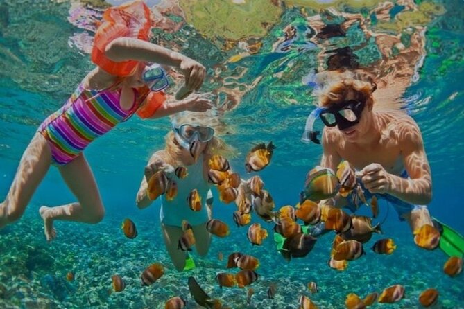 Snorkeling with Margaritaville and shops on Hipstrip activity - Getting fitted with snorkeling equipment