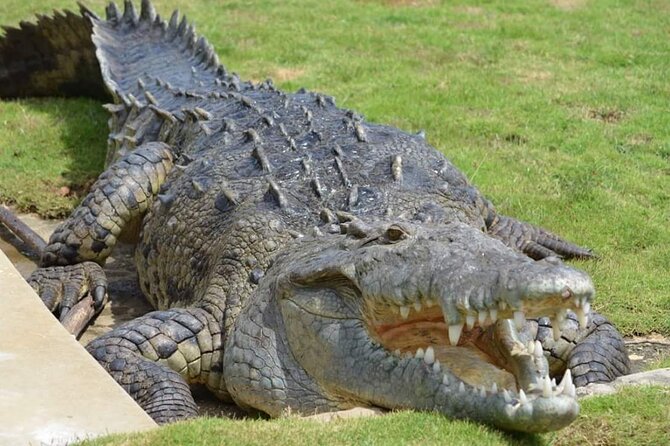 South Coast Cultural Tour History and Nature - What the $360 price really includes
