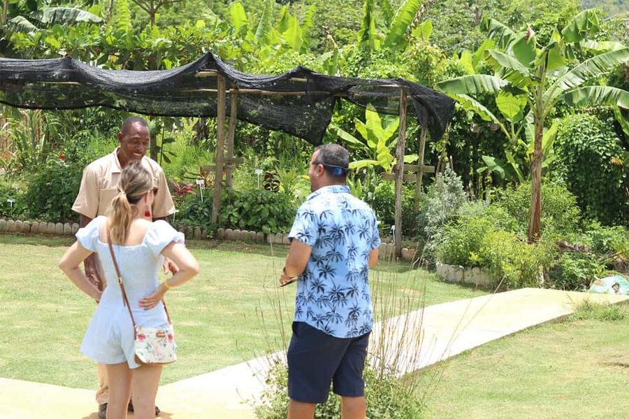 Taste of Jamaica Farm & Food Tour - From herbs to coffee, fruit, and farm animals