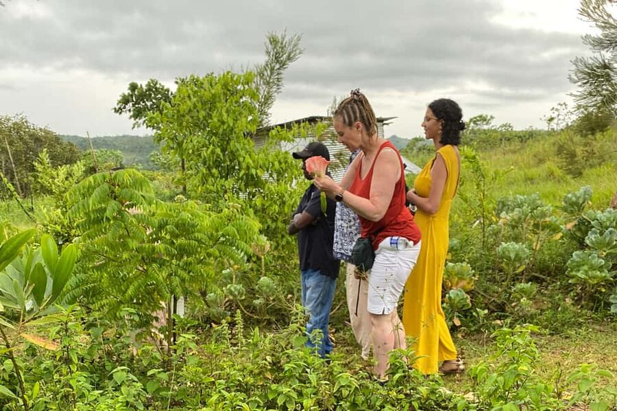 Taste of Jamaica Farm & Food Tour - Guides who make the visit personal