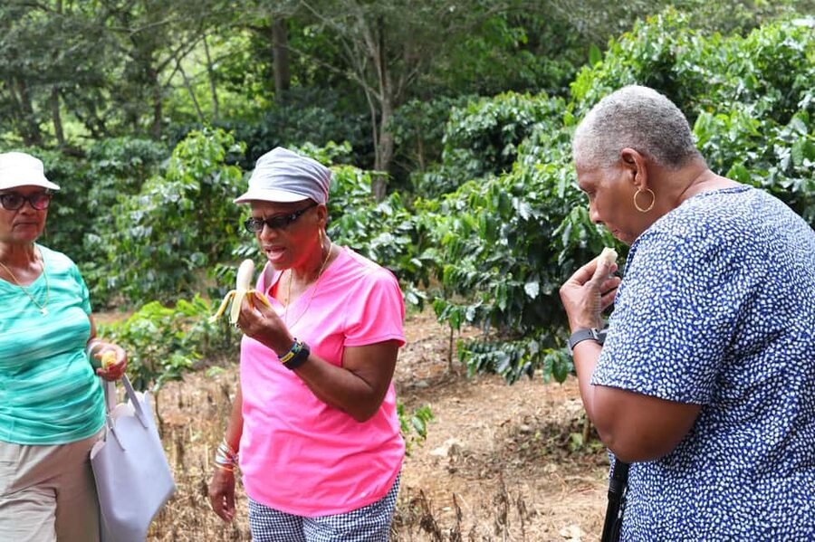 Taste of Jamaica Farm & Food Tour - Rain, heat, and what to pack