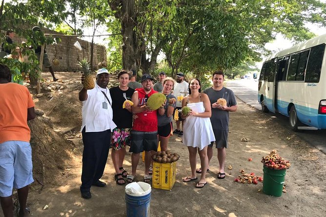 Taste of Jamaica Food Tour from Ocho Rios - The guide can make or break the day