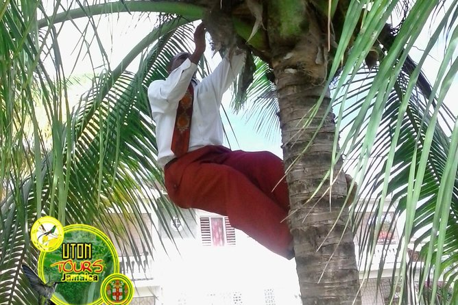 The AMAZING Montego Bay Tour - Doctors Cave Beach as the four-hour finish