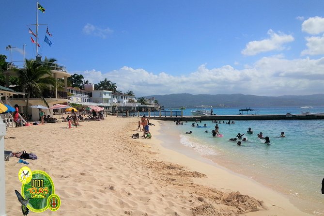 The AMAZING Montego Bay Tour - The guide makes or breaks the experience