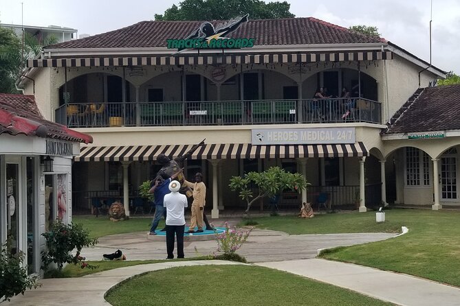 The AMAZING Montego Bay Tour - Who will enjoy this Montego Bay outing
