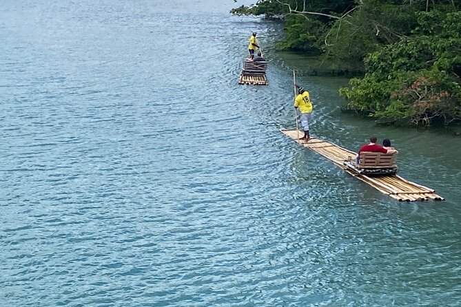 The Best of Port Antonio Day-Trip from Ocho Rios - Is $250 per person a fair price?