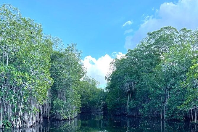 Tour to Black River and YS Falls - The road time is part of the deal