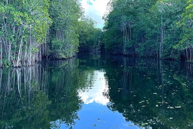 Tour to Black River and YS Falls - Is the $200 price fair?