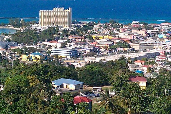 Tour to Fern Gully and Konoko Falls and Park - Key points at a glance