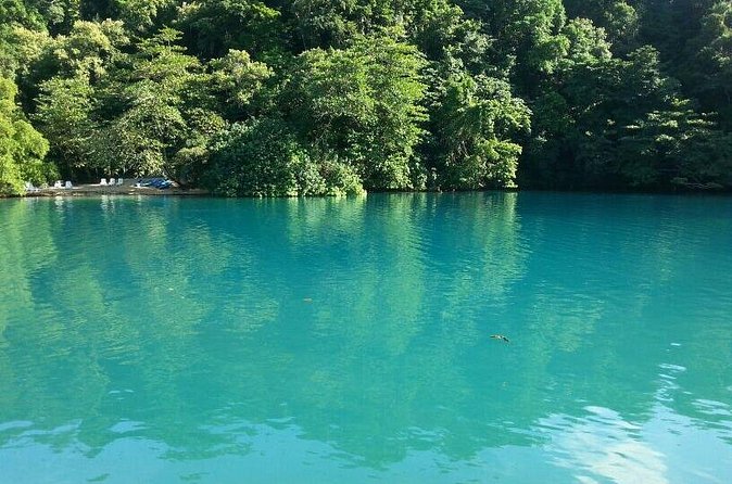 Tour to Fern Gully and Konoko Falls and Park - Lunch and shopping in Ocho Rios
