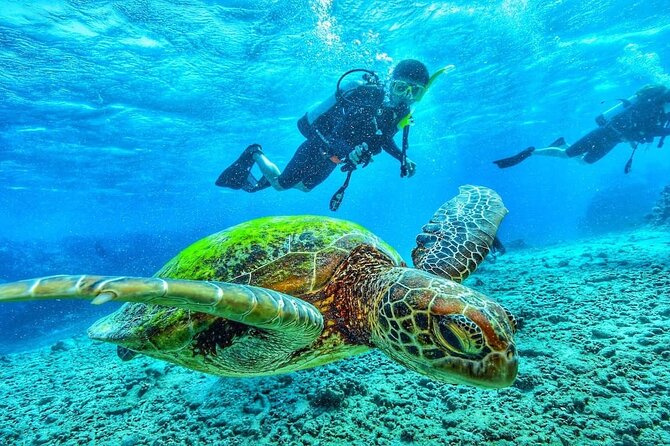 Two Tank Dive in Montego Bay w/Certified Divers - Getting ready for two tanks