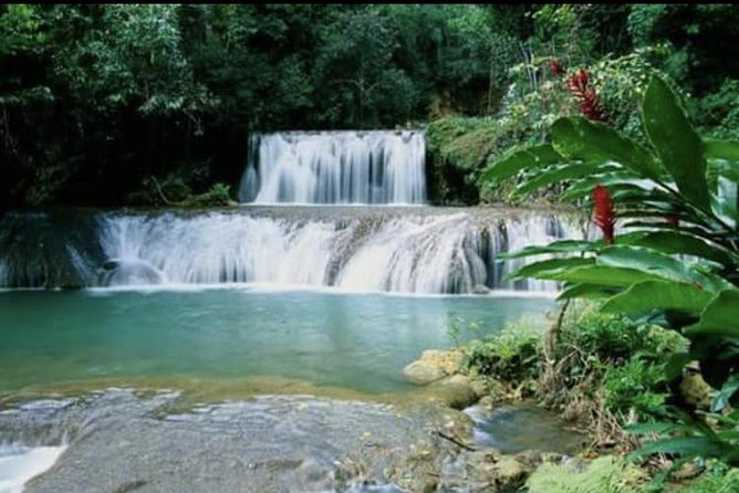 YS Falls and Appleton Estate Private Rum Tour - The private vehicle changes the experience