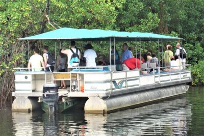 YS Falls and Black River Safari Guided Tour from Montego Bay and Grand Palladium