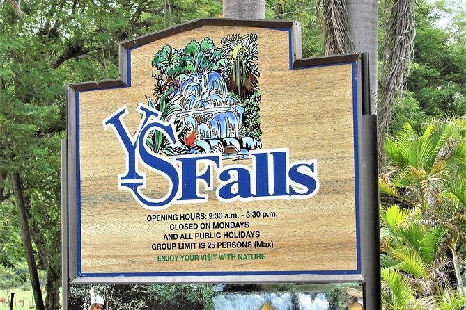 YS Falls and Black River Safari Guided Tour from Montego Bay and Grand Palladium - Transport, timing, and group size