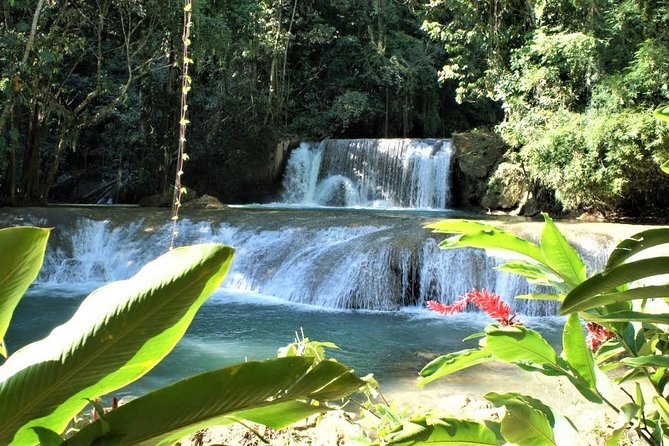 YS Falls and Black River Safari Guided Tour from Montego Bay and Grand Palladium - Who will enjoy this tour most