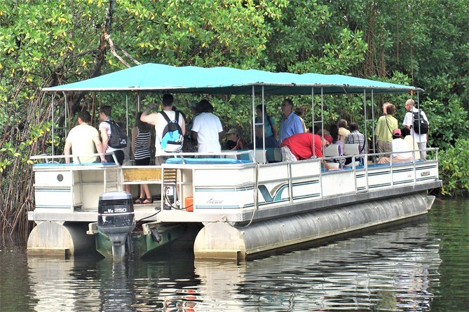 YS Falls and Black River Safari Guided Tour from Montego Bay and Grand Palladium - The mountain road to St. Elizabeth Parish