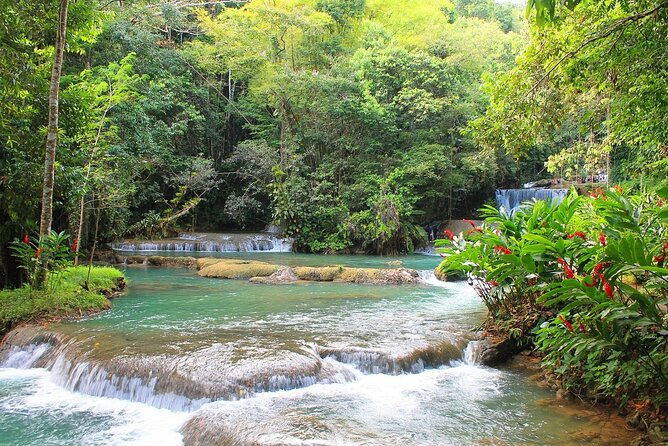 YS Falls and Black River Safari South Coast from Negril Jamaica - Key points to know before you book