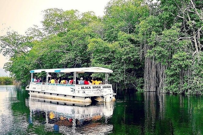 YS Falls and Black River Safari South Coast from Negril Jamaica - What the $129 price really covers