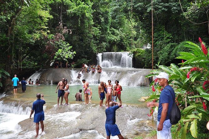 YS Falls and The Pelican Bar Adventure Tour from Negril - Why pair YS Falls with Pelican Bar?