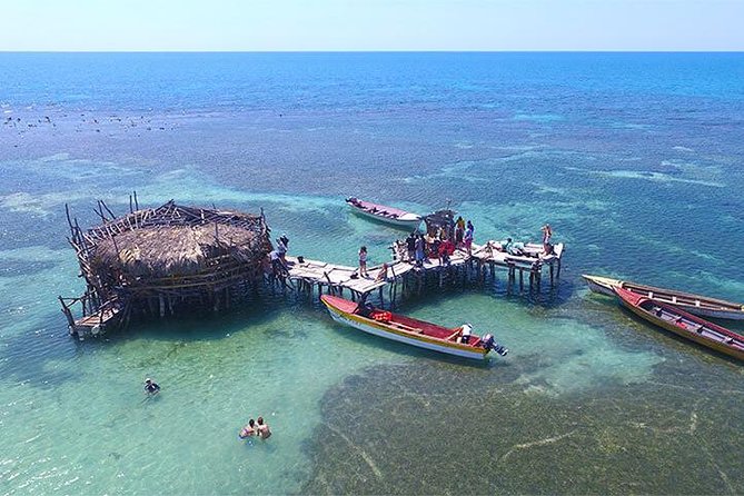 YS Falls and The Pelican Bar Adventure Tour from Negril - Who will enjoy this day most?