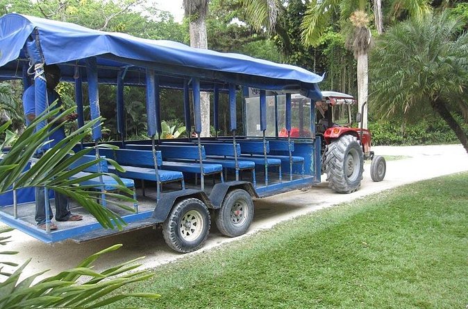 YS Falls and The Pelican Bar Adventure Tour from Negril - Practical packing advice for the 9:00 a.m. start