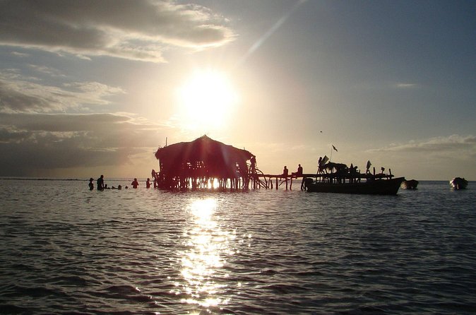 YS Falls, Black River Safari, and Floyd's Pelican Bar Day-Trip (Transportation) - Who will get the most from this excursion
