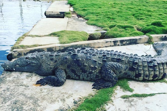 YS Falls, Black River Safari, and Floyd's Pelican Bar Day-Trip (Transportation) - Is $133.29 a fair price?