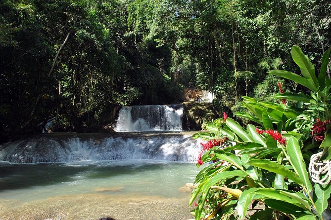 YS Falls, Black River Safari, Appleton Rum Tour OR Pelican Bar (Choose Up to 3) - A private route into Jamaica’s South Coast